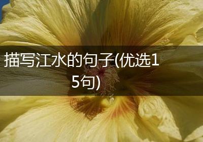 描写江水的句子(优选15句)