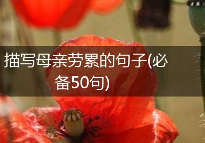 描写母亲劳累的句子(必备50句)