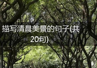 描写清晨美景的句子(共20句)