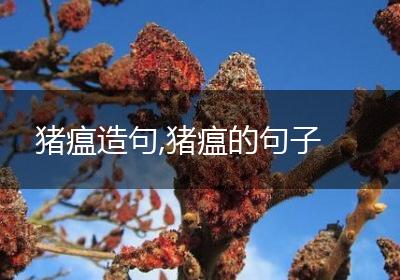猪瘟造句,猪瘟的句子