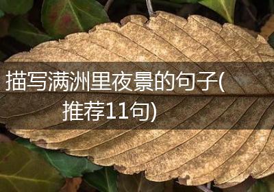 描写满洲里夜景的句子(推荐11句)