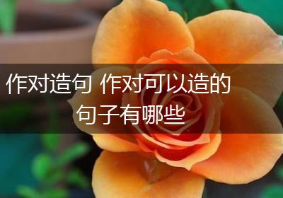 作对造句 作对可以造的句子有哪些