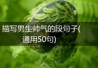 描写男生帅气的段句子(通用50句)