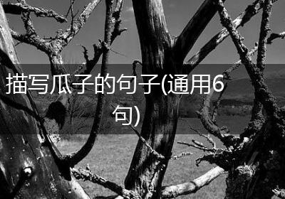 描写瓜子的句子(通用6句)