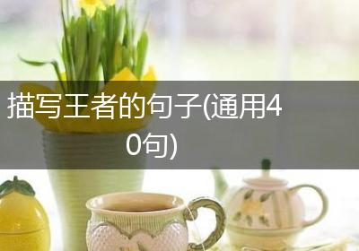 描写王者的句子(通用40句)
