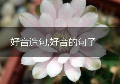 好音造句,好音的句子