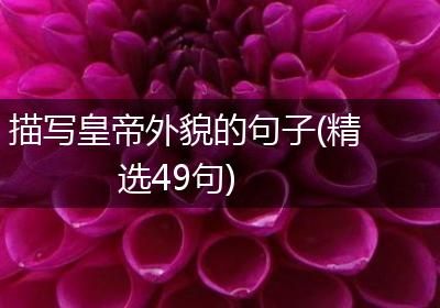 描写皇帝外貌的句子(精选49句)