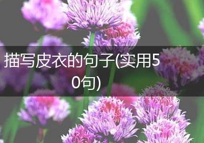 描写皮衣的句子(实用50句)