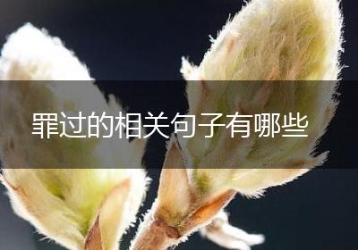 罪过的相关句子有哪些