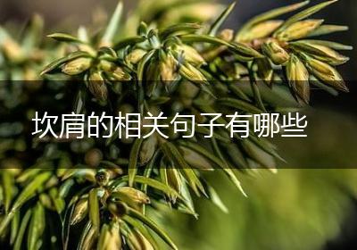 坎肩的相关句子有哪些