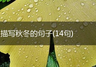 描写秋冬的句子(14句)