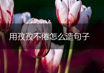 用孜孜不倦怎么造句子