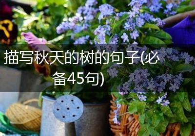 描写秋天的树的句子(必备45句)