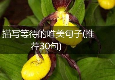 描写等待的唯美句子(推荐30句)