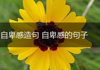 自卑感造句 自卑感的句子