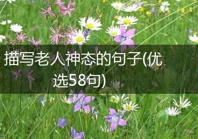 描写老人神态的句子(优选58句)