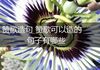 赞歌造句 赞歌可以造的句子有哪些