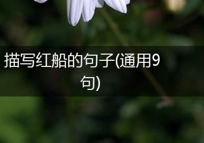 描写红船的句子(通用9句)