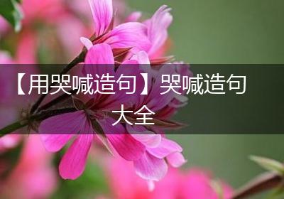 【用哭喊造句】哭喊造句大全