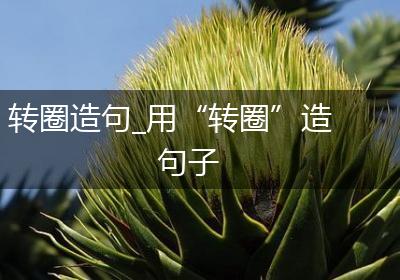 转圈造句_用“转圈”造句子