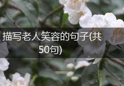 描写老人笑容的句子(共50句)