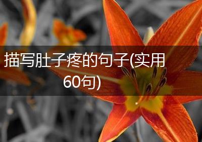 描写肚子疼的句子(实用60句)