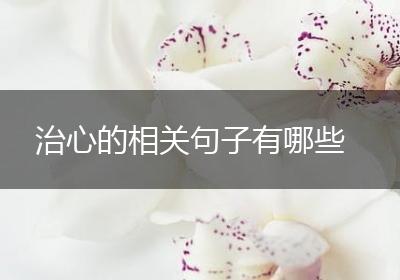 治心的相关句子有哪些