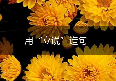 用“立说”造句