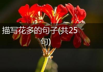 描写花多的句子(共25句)
