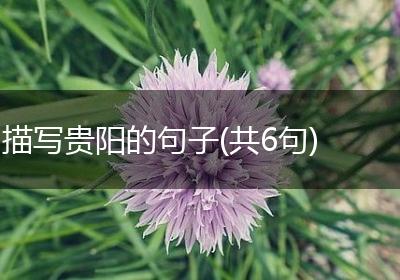 描写贵阳的句子(共6句)