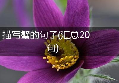 描写蟹的句子(汇总20句)