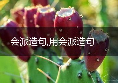 会派造句,用会派造句