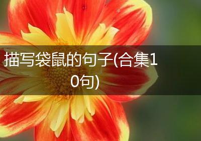 描写袋鼠的句子(合集10句)