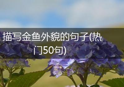 描写金鱼外貌的句子(热门50句)