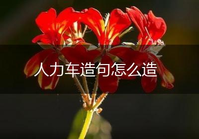 人力车造句怎么造