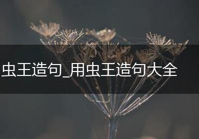 虫王造句_用虫王造句大全