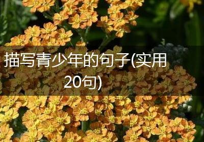 描写青少年的句子(实用20句)
