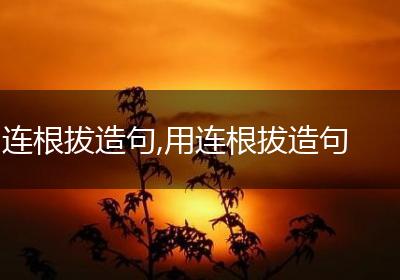 连根拔造句,用连根拔造句