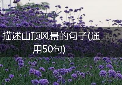 描述山顶风景的句子(通用50句)