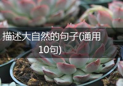 描述大自然的句子(通用10句)