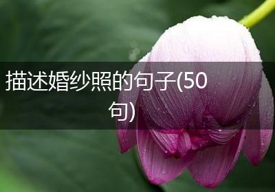 描述婚纱照的句子(50句)