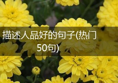 描述人品好的句子(热门50句)