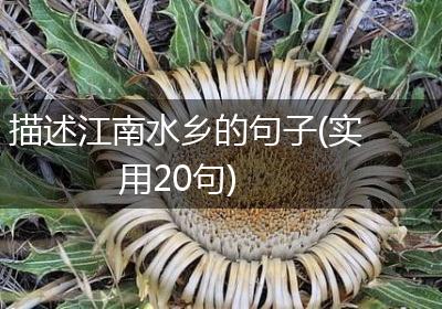 描述江南水乡的句子(实用20句)