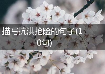 描写抗洪抢险的句子(10句)