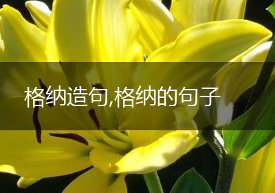 格纳造句,格纳的句子