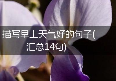 描写早上天气好的句子(汇总14句)