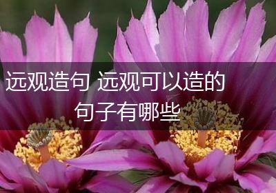 远观造句 远观可以造的句子有哪些