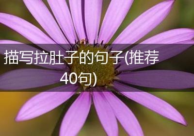 描写拉肚子的句子(推荐40句)