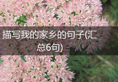 描写我的家乡的句子(汇总6句)