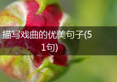 描写戏曲的优美句子(51句)